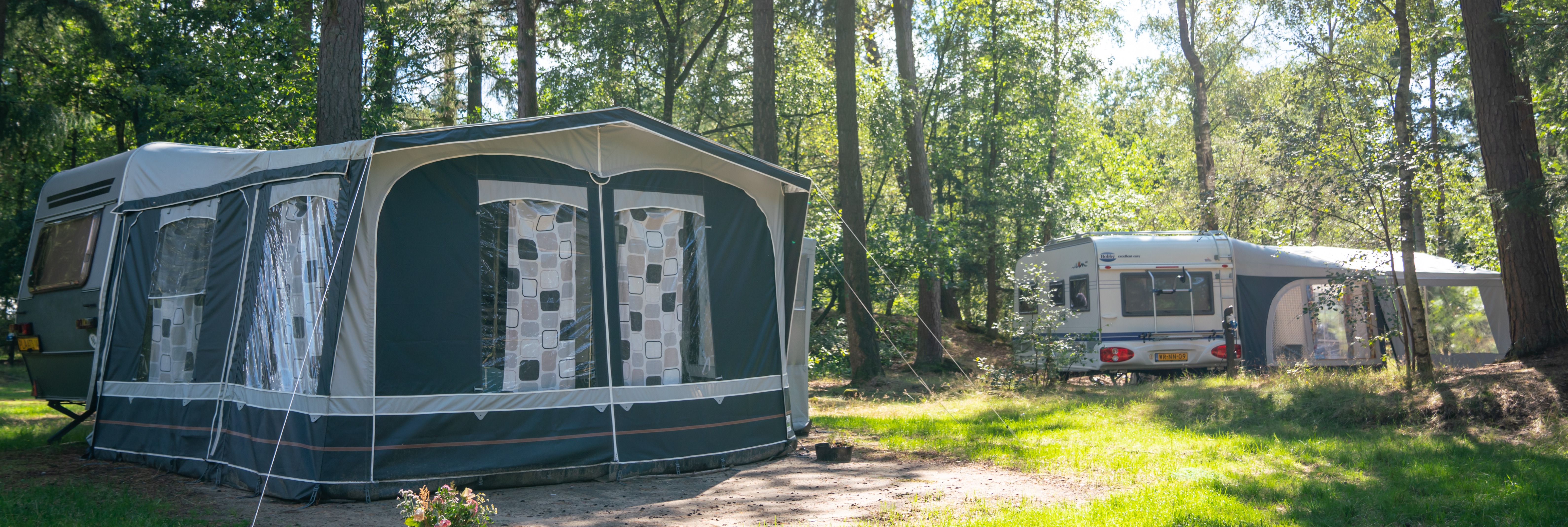 Landal Grevenhout 21 - Luxe campingplaats