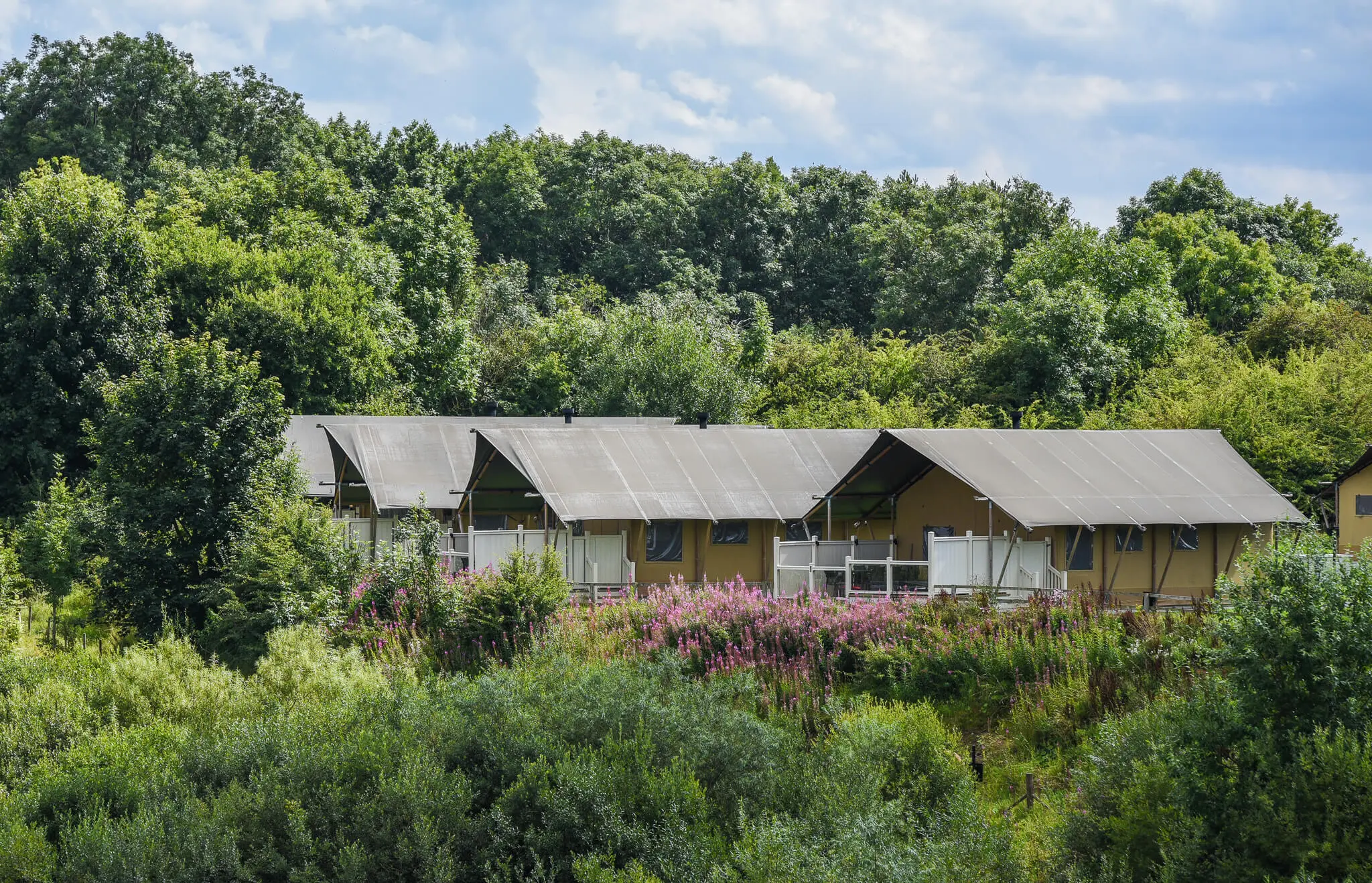 Landal Silver Howe - 8-persoons safaritent - Kruger