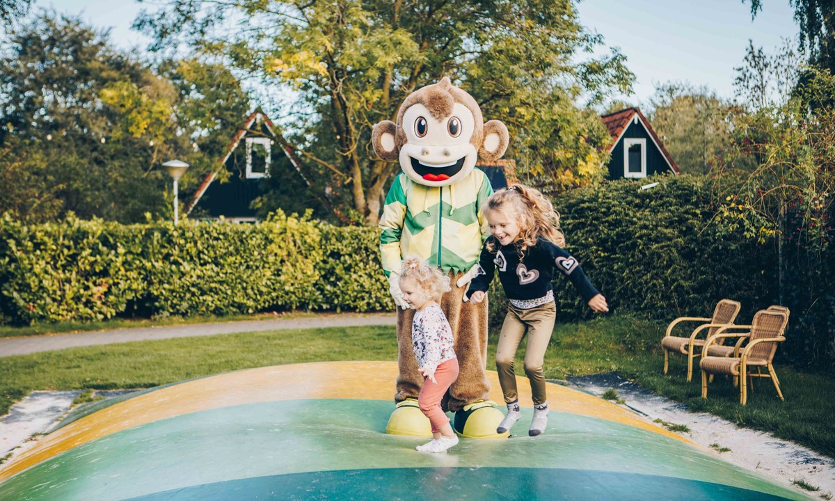 Vakantiepark T Hooge Holt