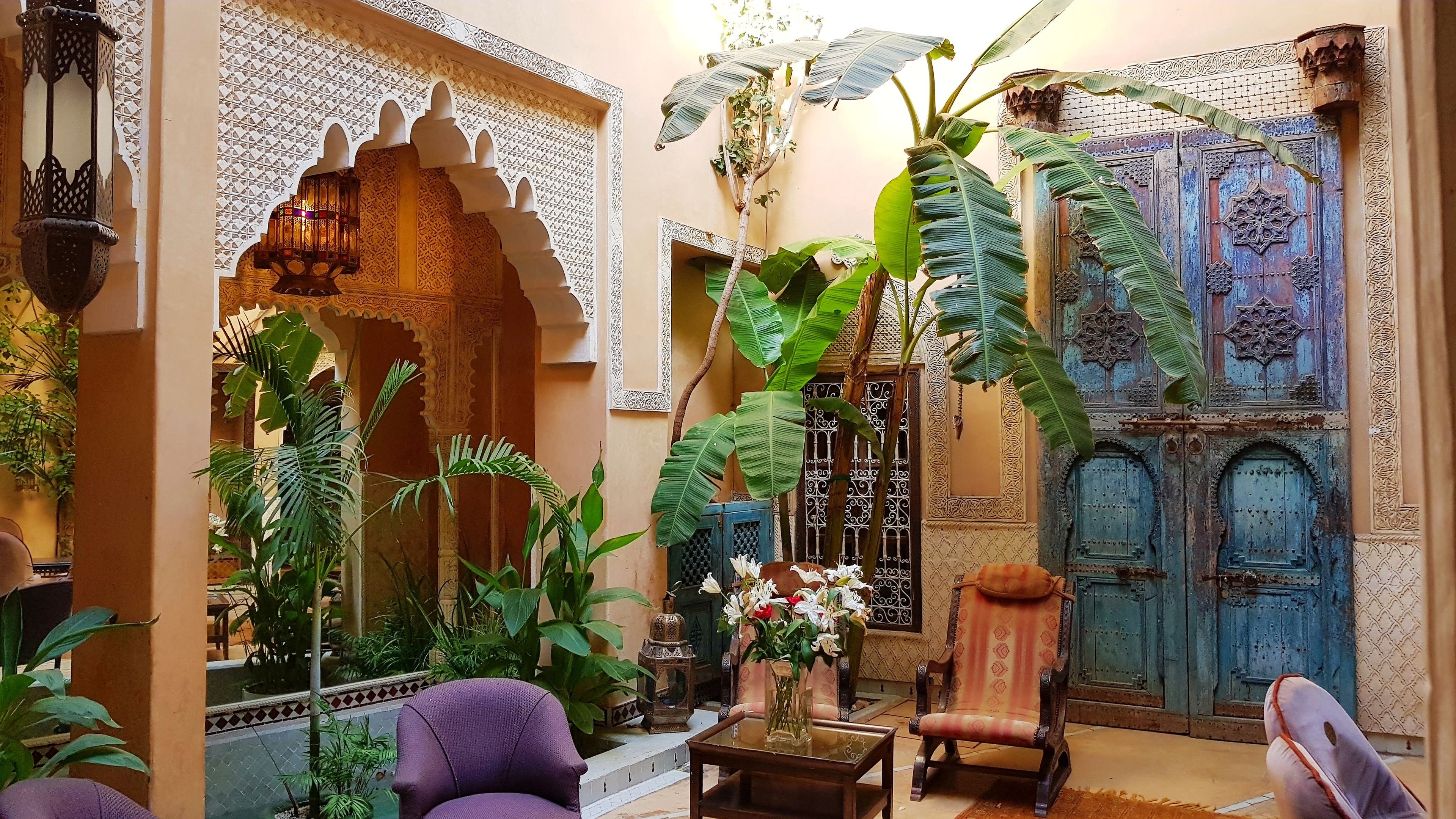 Riad Armelle cover