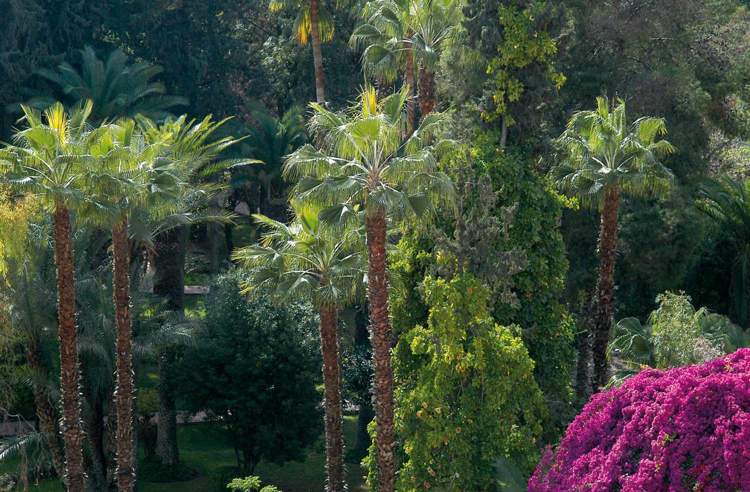 Es Saadi Marrakech Resort - The Palace cover