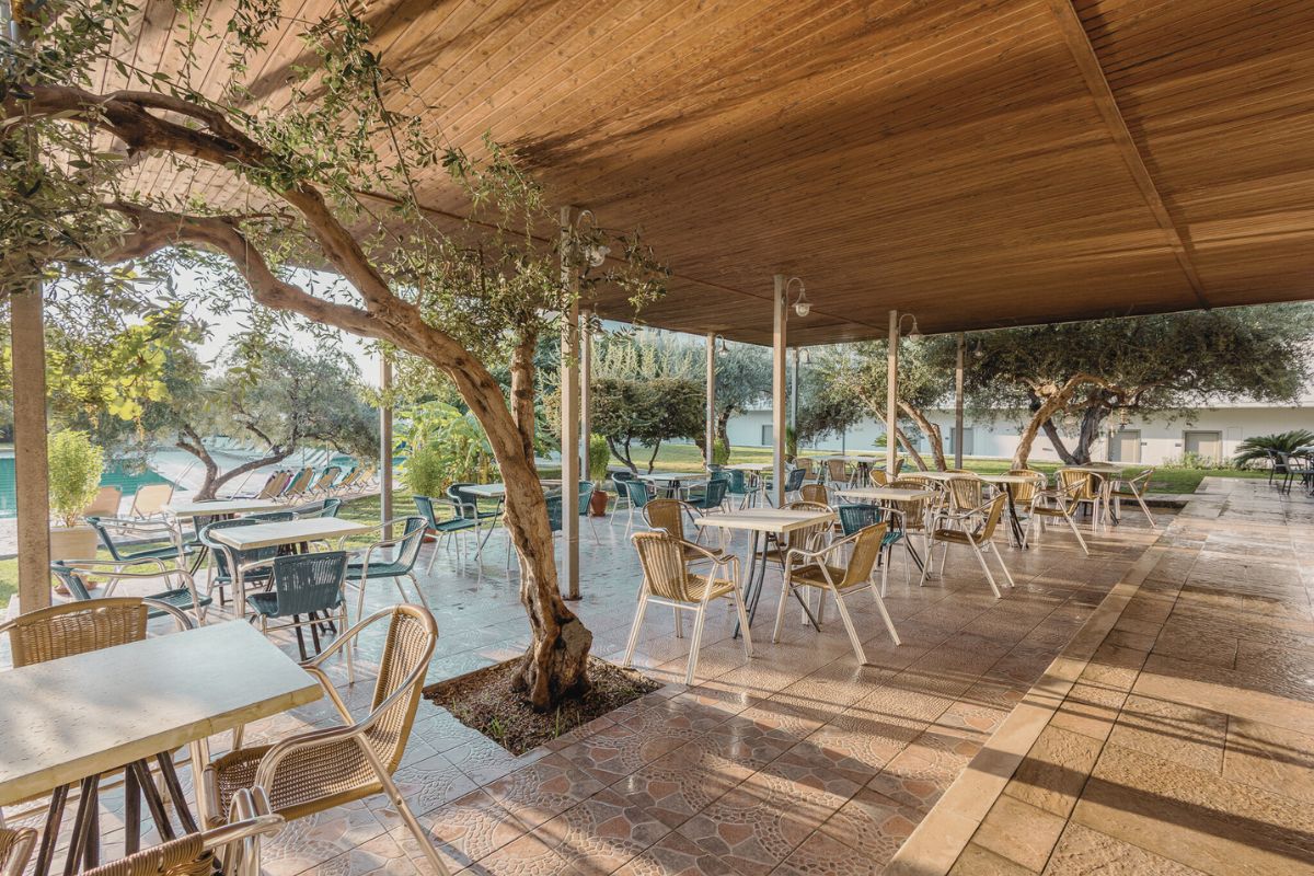 Marianna Palace Hotel – Terras onder bomen, Kolymbia