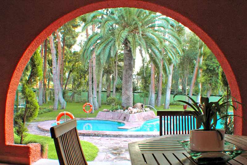 Hotel Intelier Bonaire – Tuin met palmen, Benicàssim