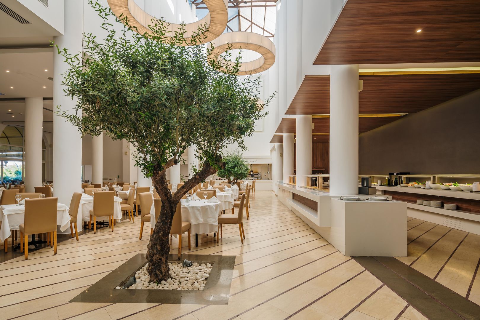 Lindos Royal Resort – Restaurant met olijfboom, Lindos
