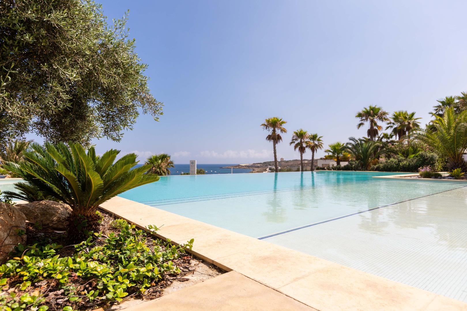 Salini Resort – Zwembad met palmen, St. Paul's Bay
