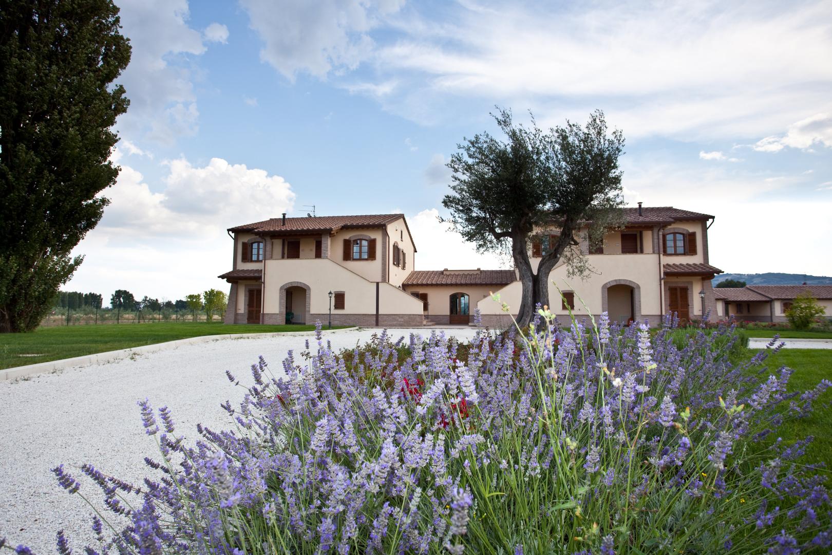 Le Rondini di Francesco di Assisi – Gevel met lavendel, Cannara