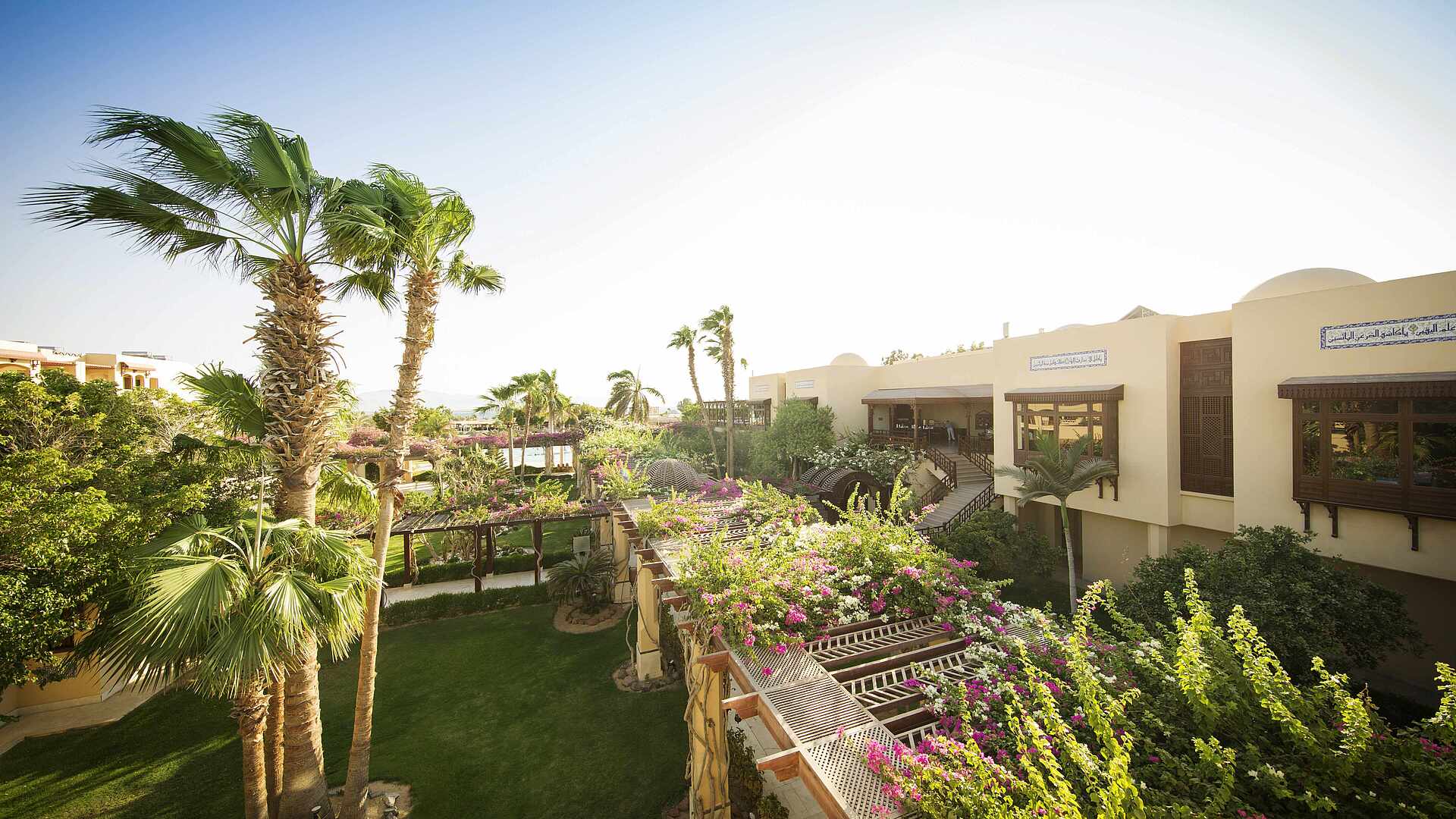 ROBINSON Soma Bay – Tuin met palmen, Soma Bay