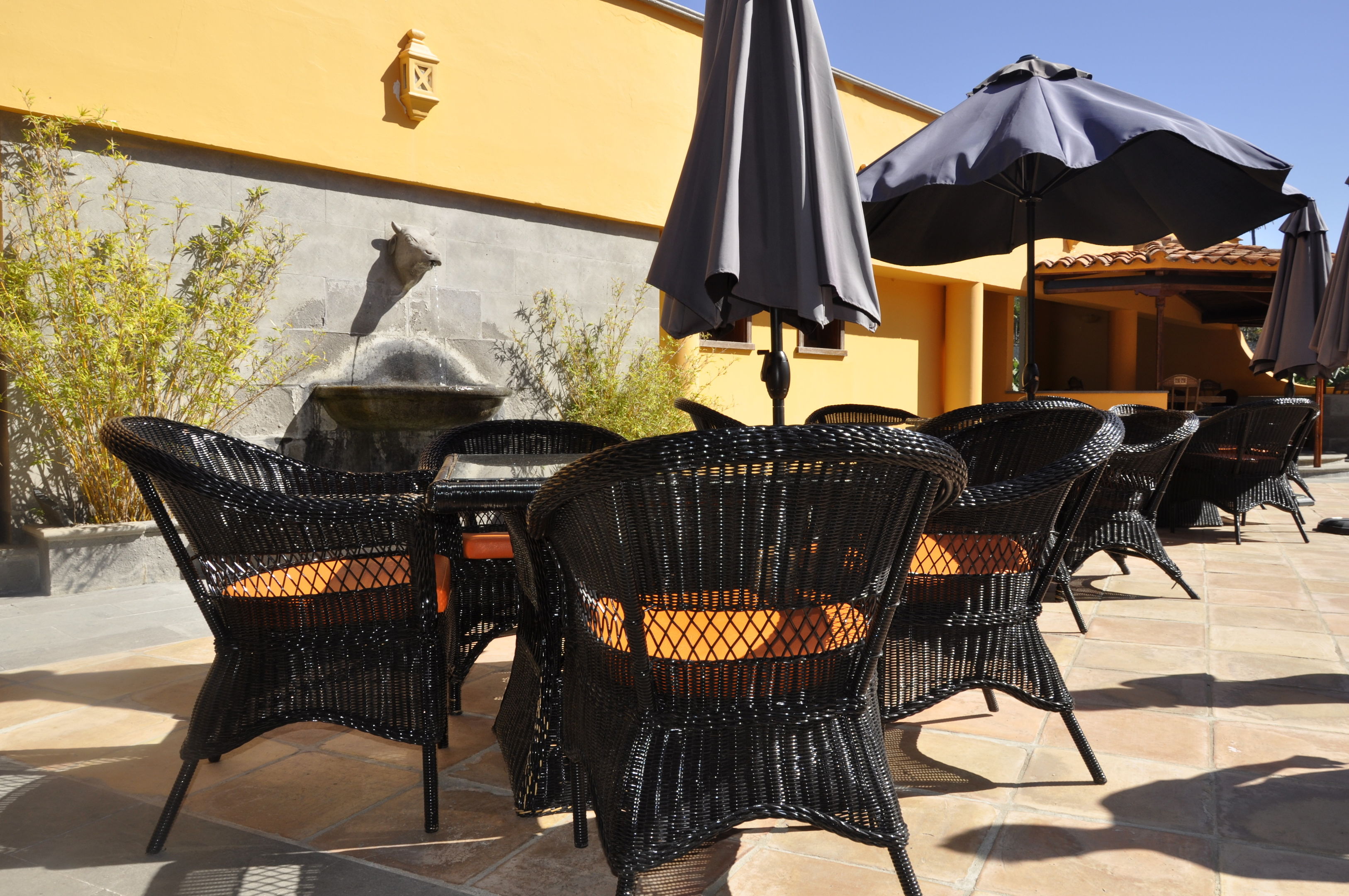 La Hacienda del Buen Suceso – Terras, Arucas
