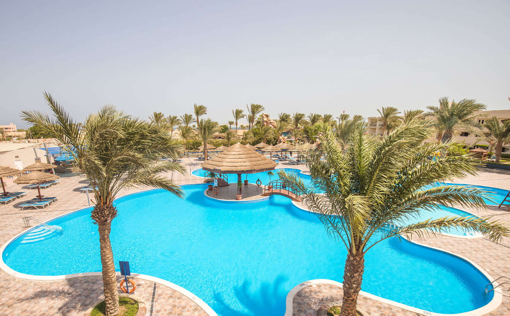 Sea Gull Beach Resort – Zwembad met palmen, Hurghada