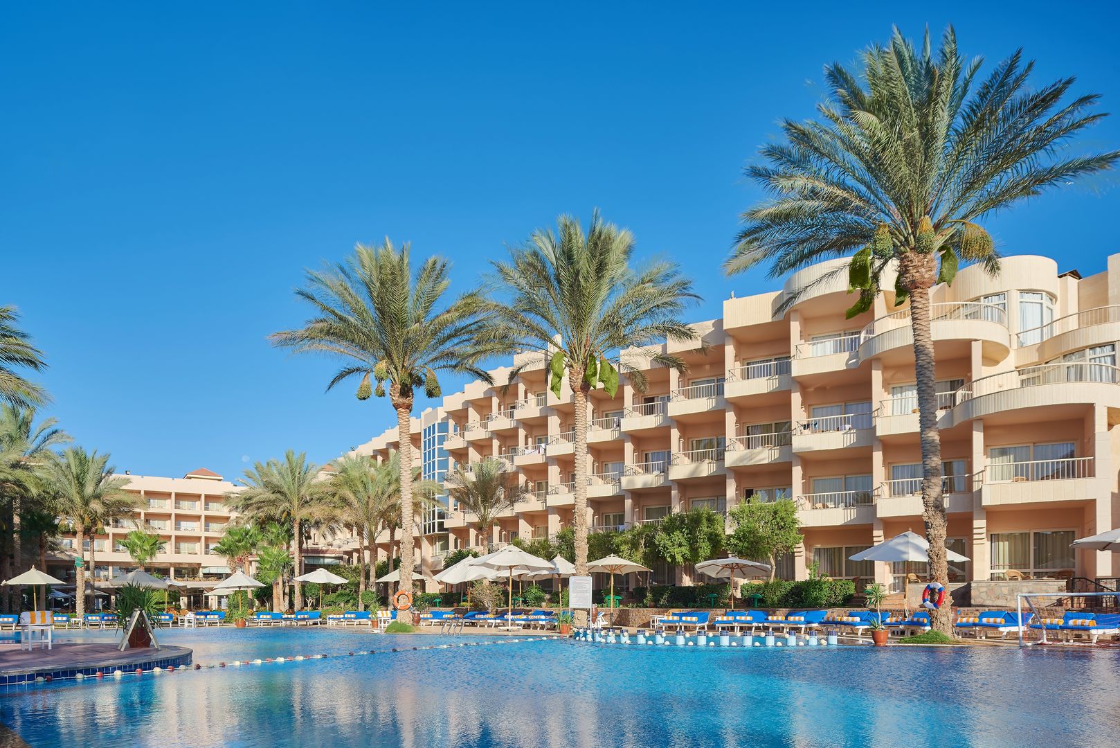 Sea Star Beau Rivage cover
