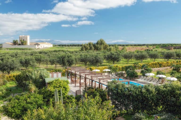 Agriturismo Vultaggio – Landschap met olijfbomen, Guarrato