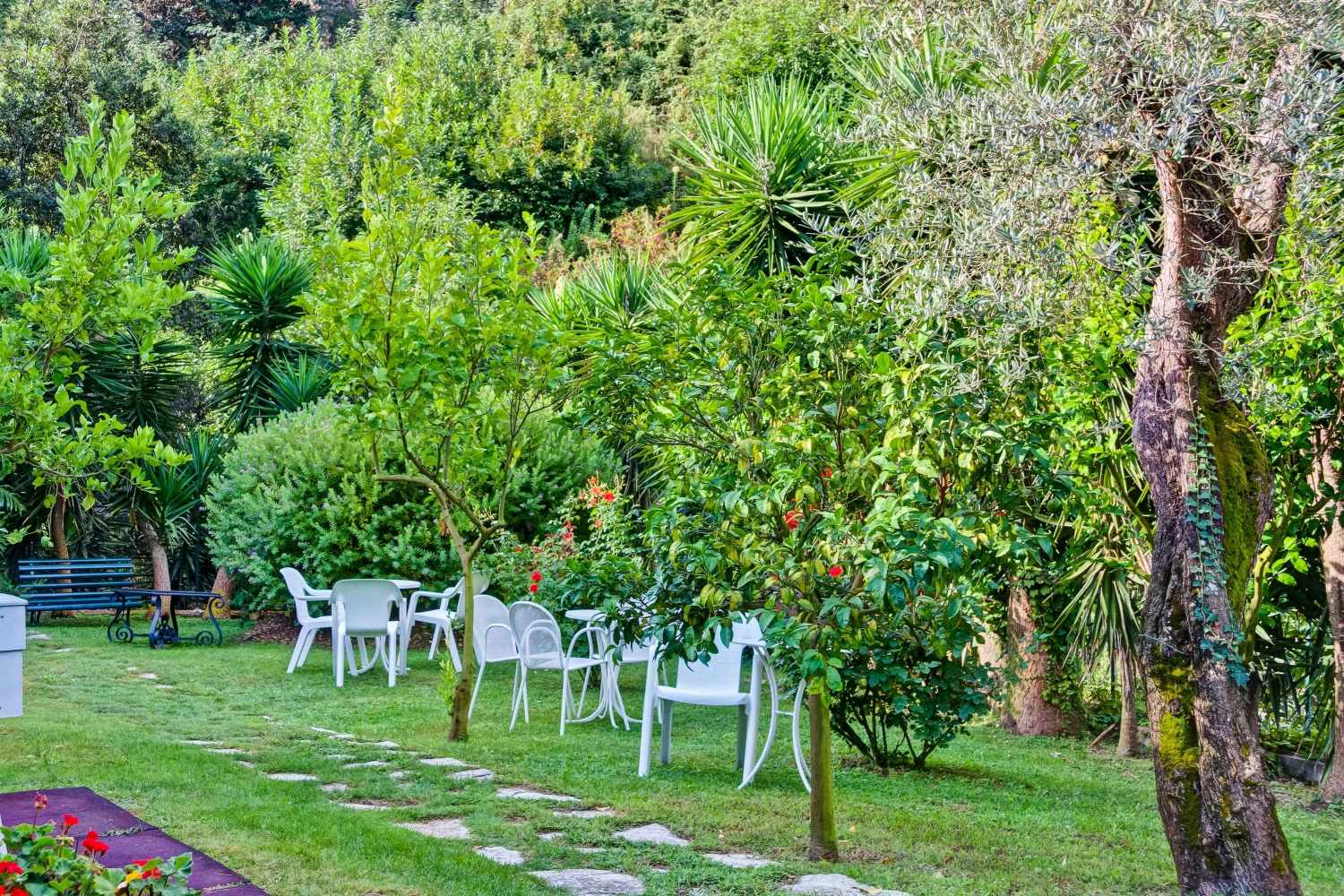 Best Western Hotel La Solara – Tuin, Sorrent, Napels