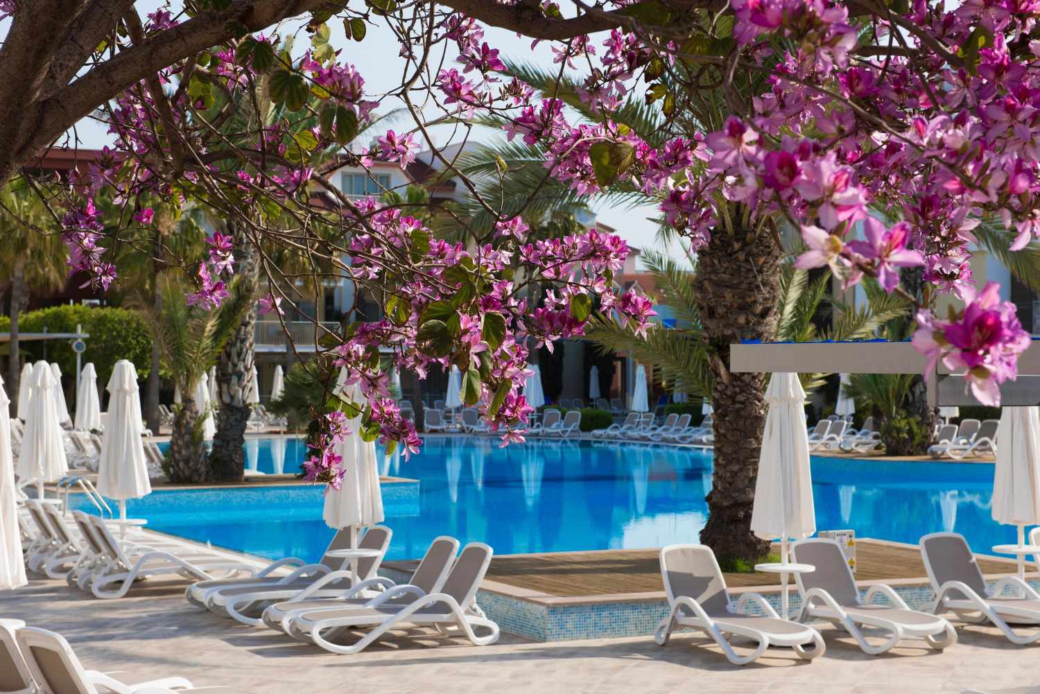Barut B Suites – Zwembad onder bloesem, Side