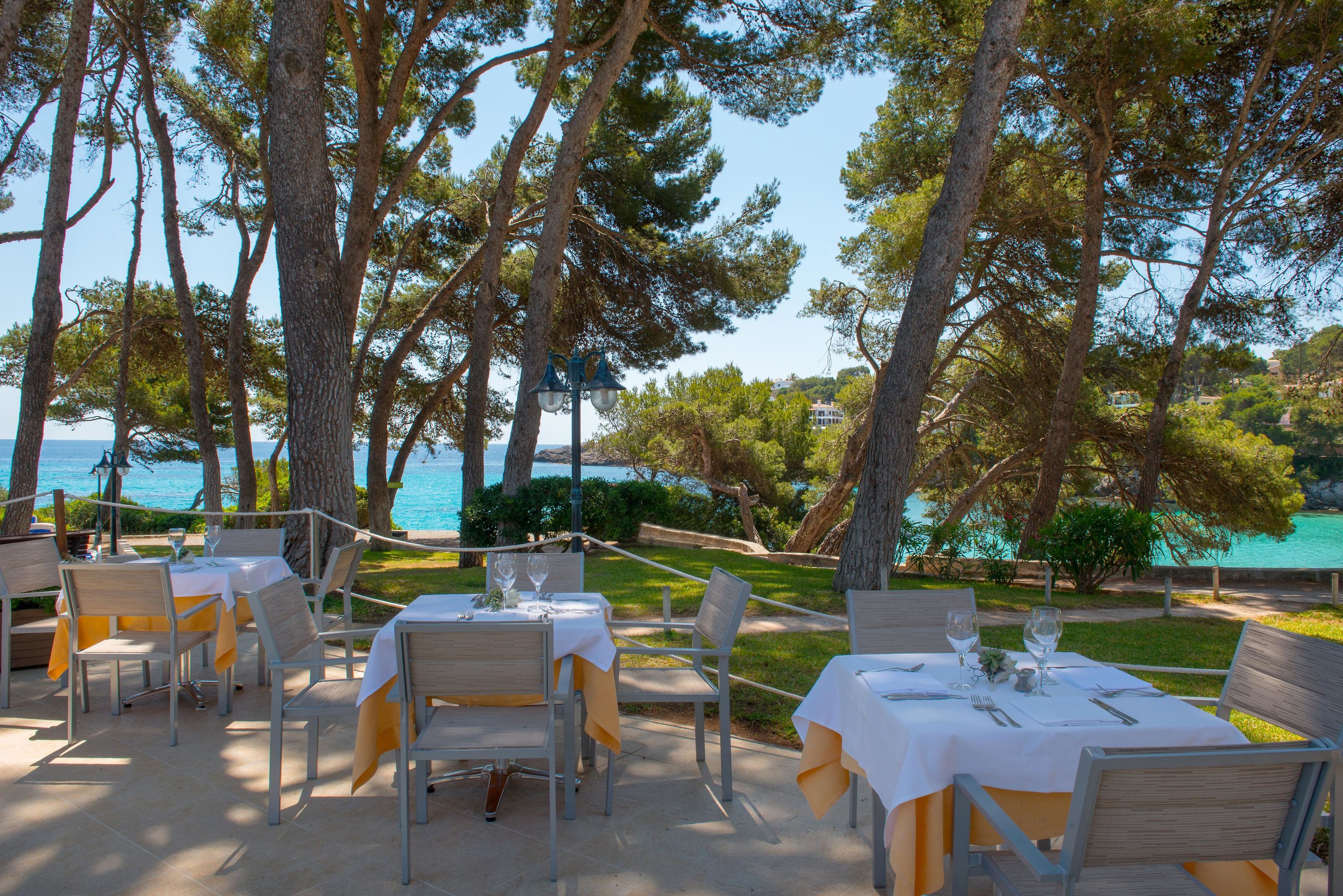 Iberostar Waves Pinos Park – Terras met zeezicht, Font de Sa Cala