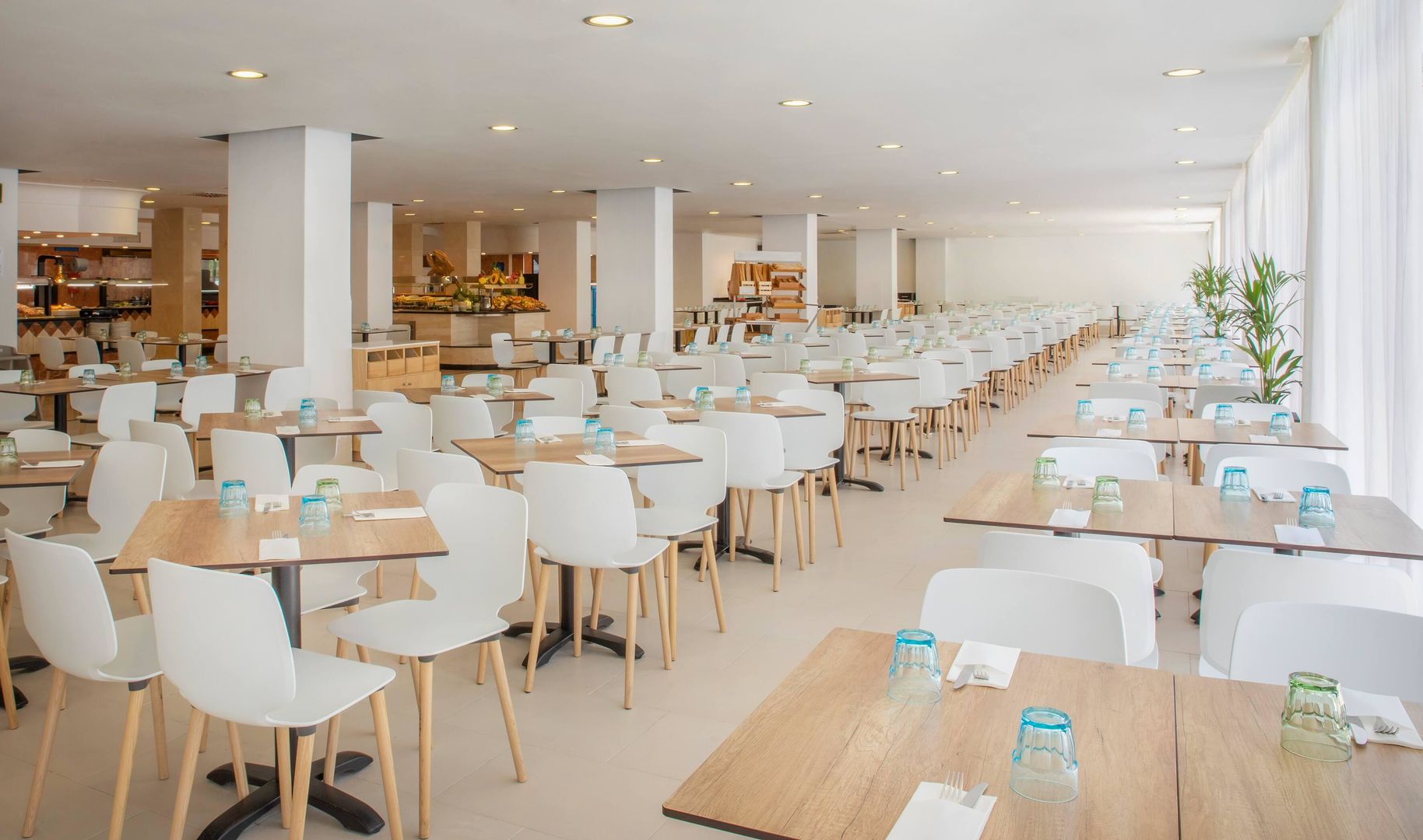 Sol Palmanova - Mallorca – Restaurant, Palmanova