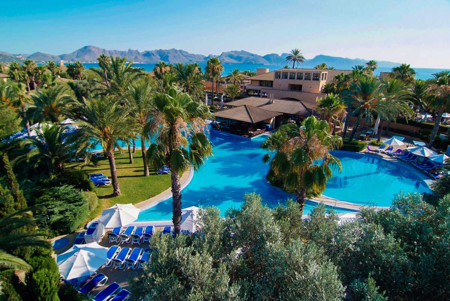 PortBlue Club Pollentia Resort & Spa – Zwembad tussen palmen, Alcudia