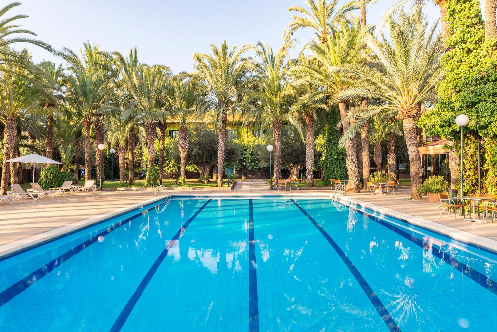 Port Jardín Milenio, Elche