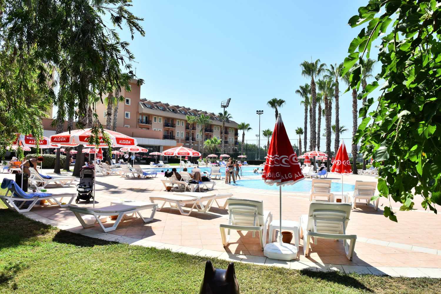 Viking Park Hotel & Spa – Terras met parasols, Kiris