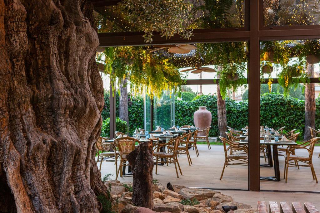 La Laguna Spa & Golf – Restaurant onder oude boom, Rojales