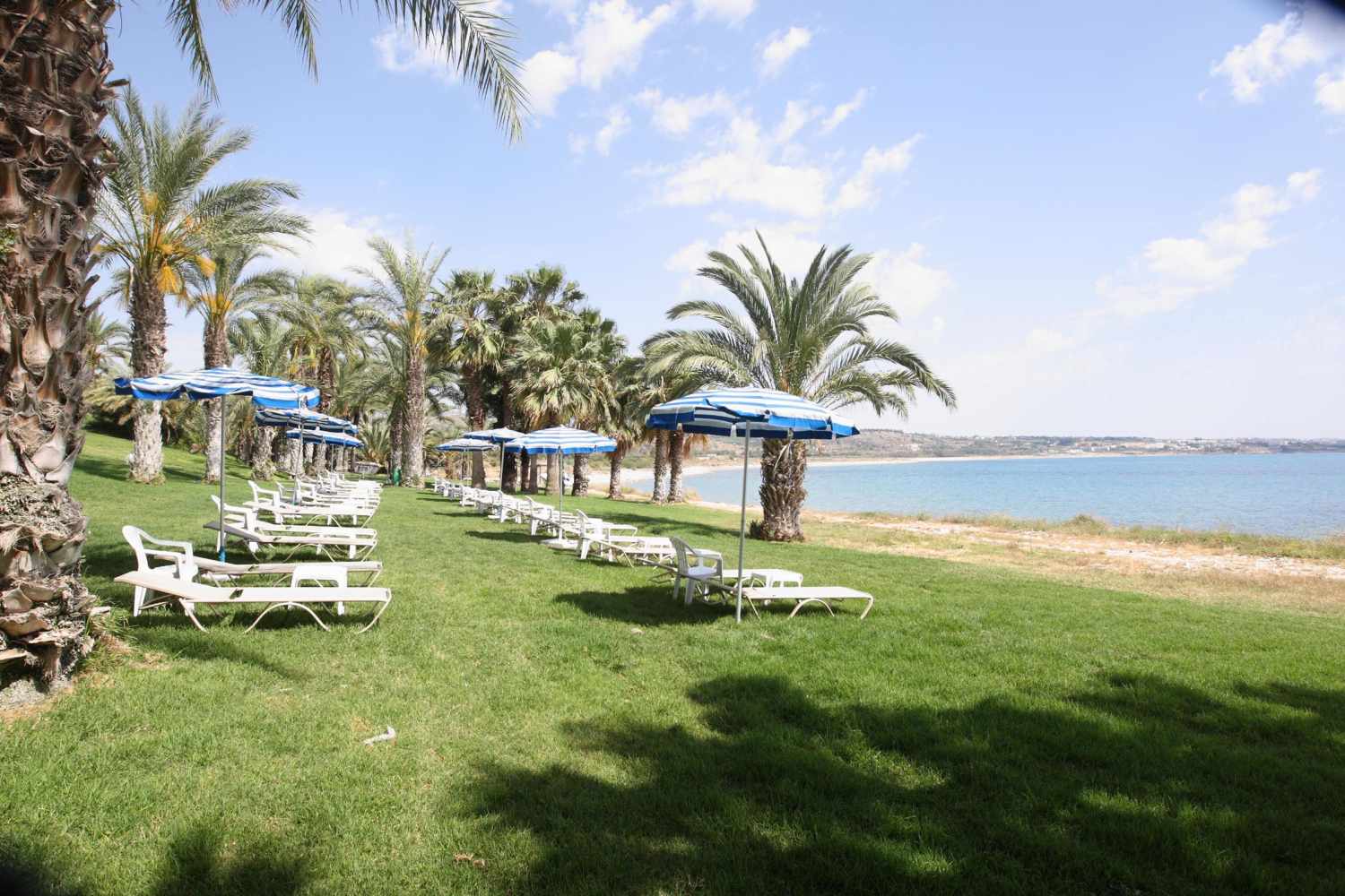 Ascos Coral Beach Hotel – Ligbedden op het gras aan zee, Paphos
