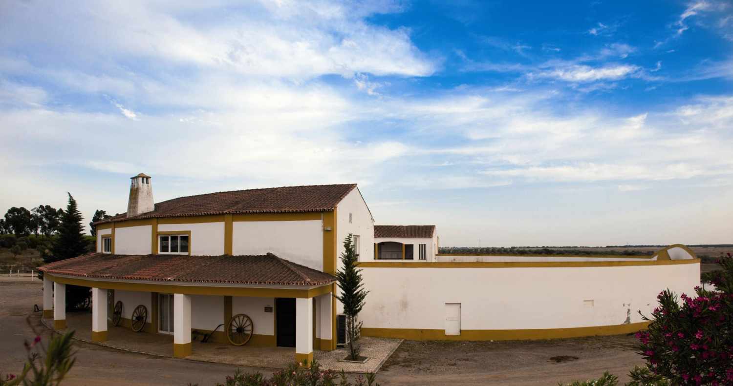 Hotel Rural Vila Gale Alentejo Vineyards – Landhuis, Beja