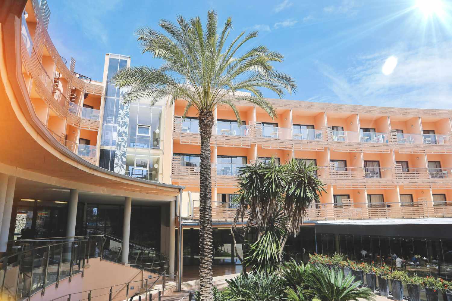 Ohtels Les Oliveres – Gevel met palm, El Perello
