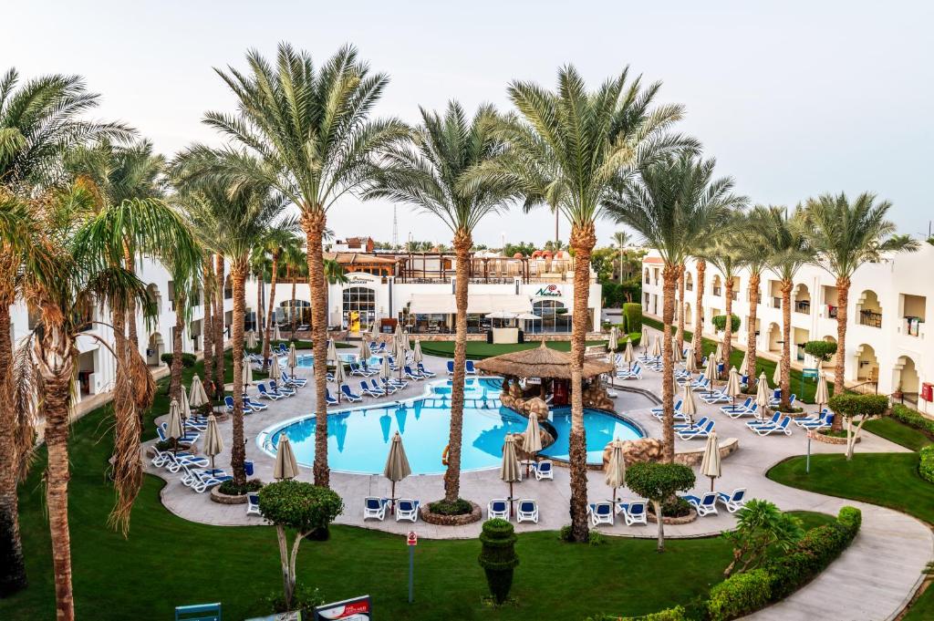 Xperience St. George Homestay – Tuin met palmen, Sharm el Sheikh
