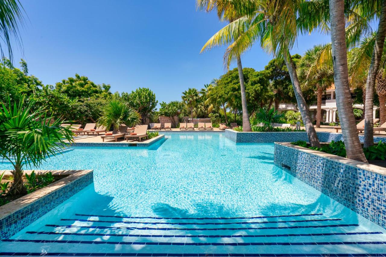 Zoëtry Curaçao Resort & Spa – Zwembad met palmen, Willemstad