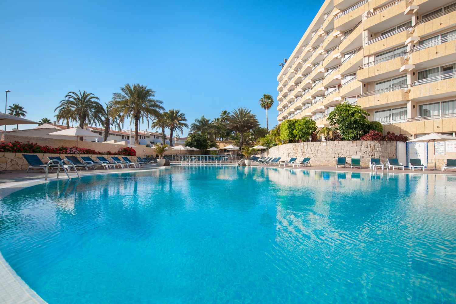 Olé Tropical Tenerife – Zwembad met palmen, Playa de las Americas