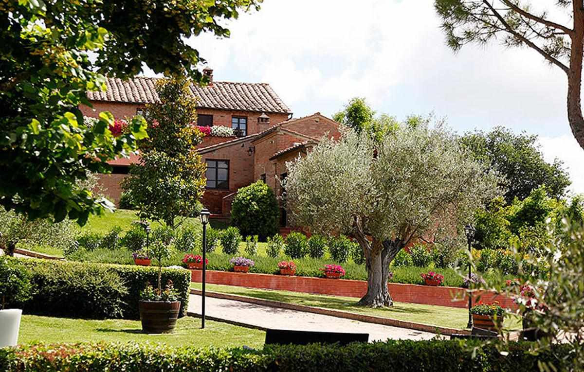 Hotel & Appartementen Borgo Tre Rose – Tuin met olijfboom, Valiano di Montepulciano