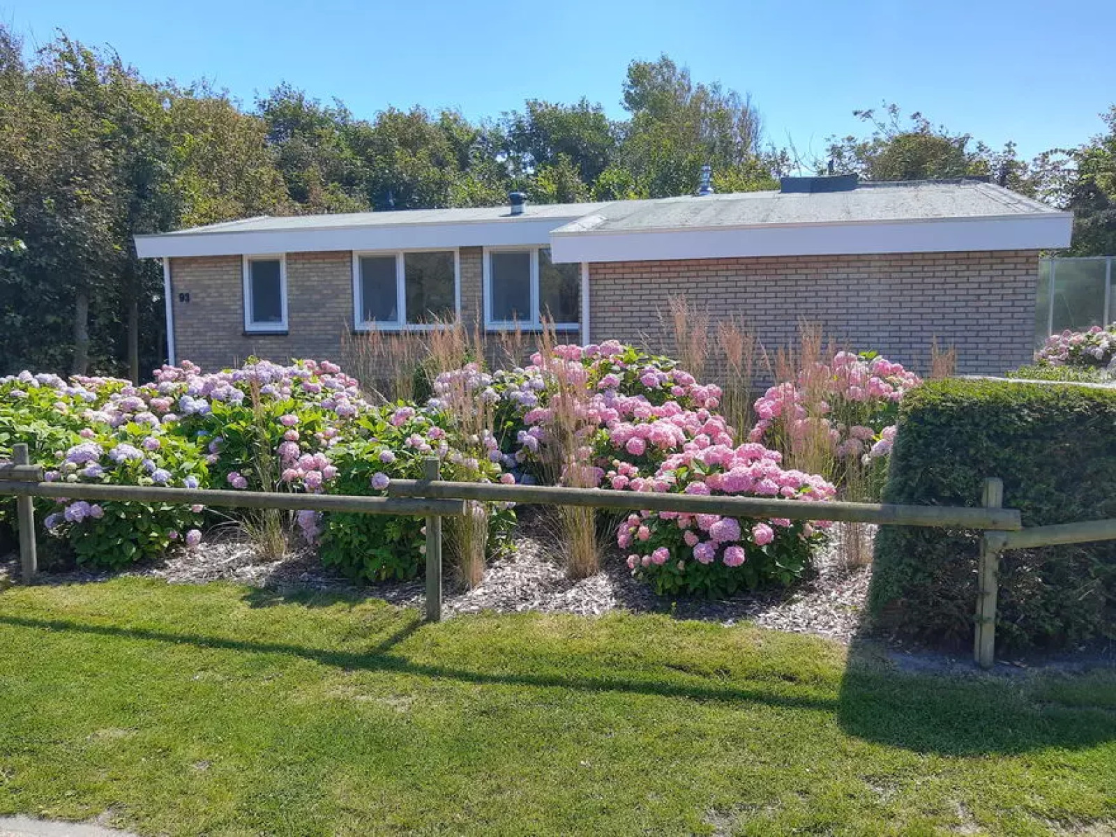 ZE1434 cover