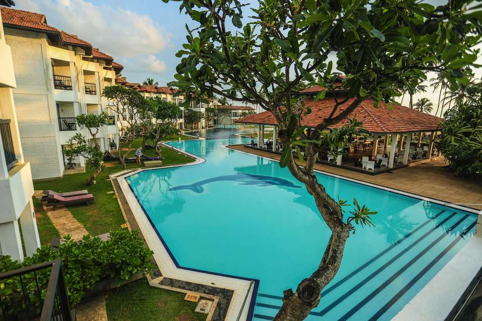Club Hotel Dolphin cover