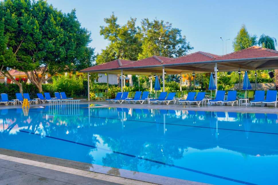 Blue Fish Hotel cover