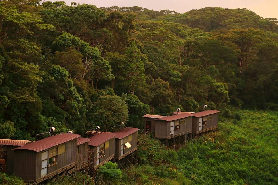 Rainforest Eco Lodge cover