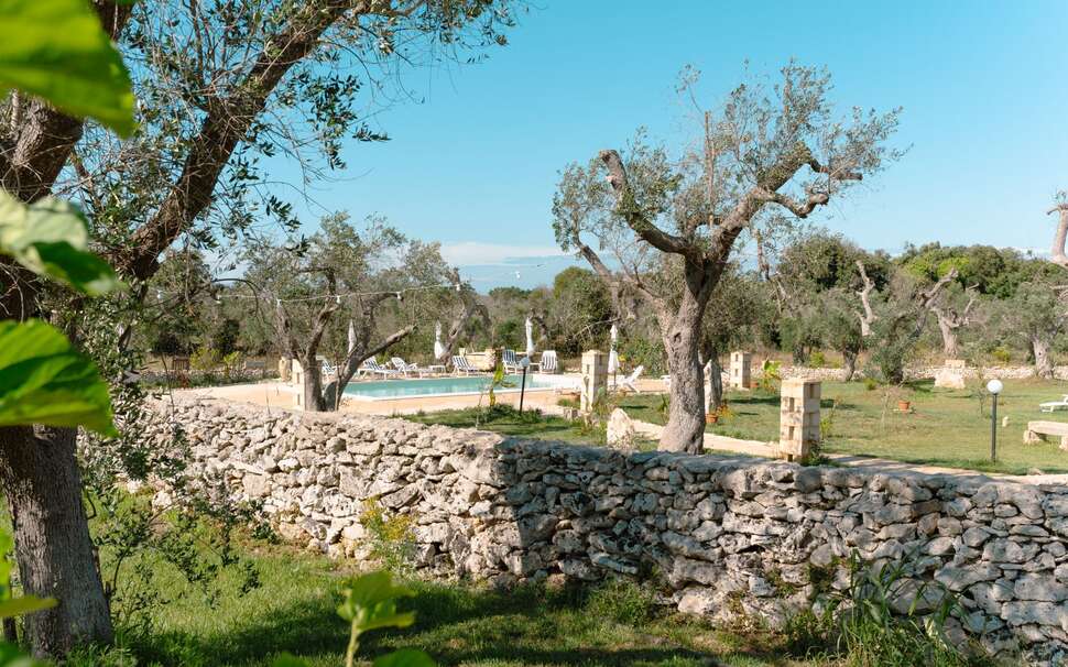 Tenuta San Lorenzo cover