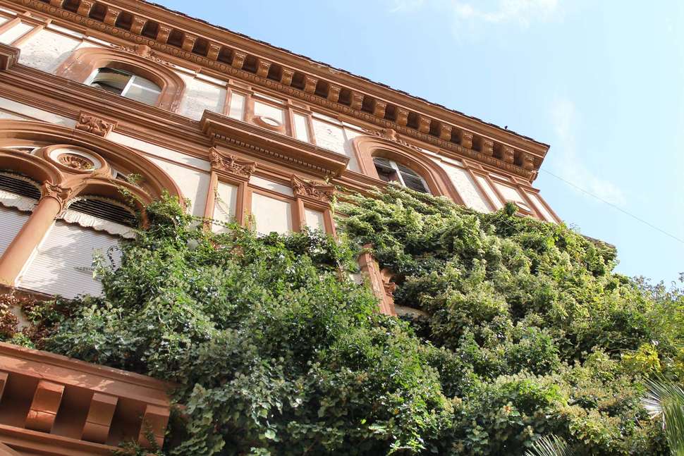 Villa delle Rose