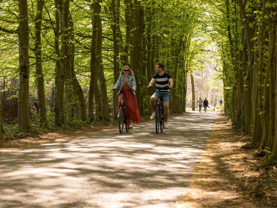 EuroParcs Hoge Kempen cover