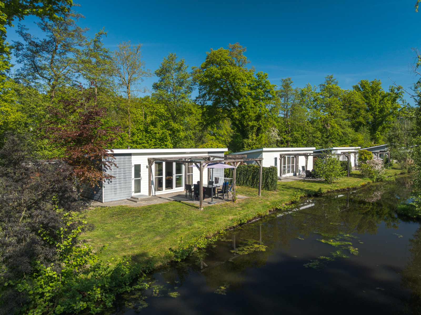 «Lodge Mistique» cover