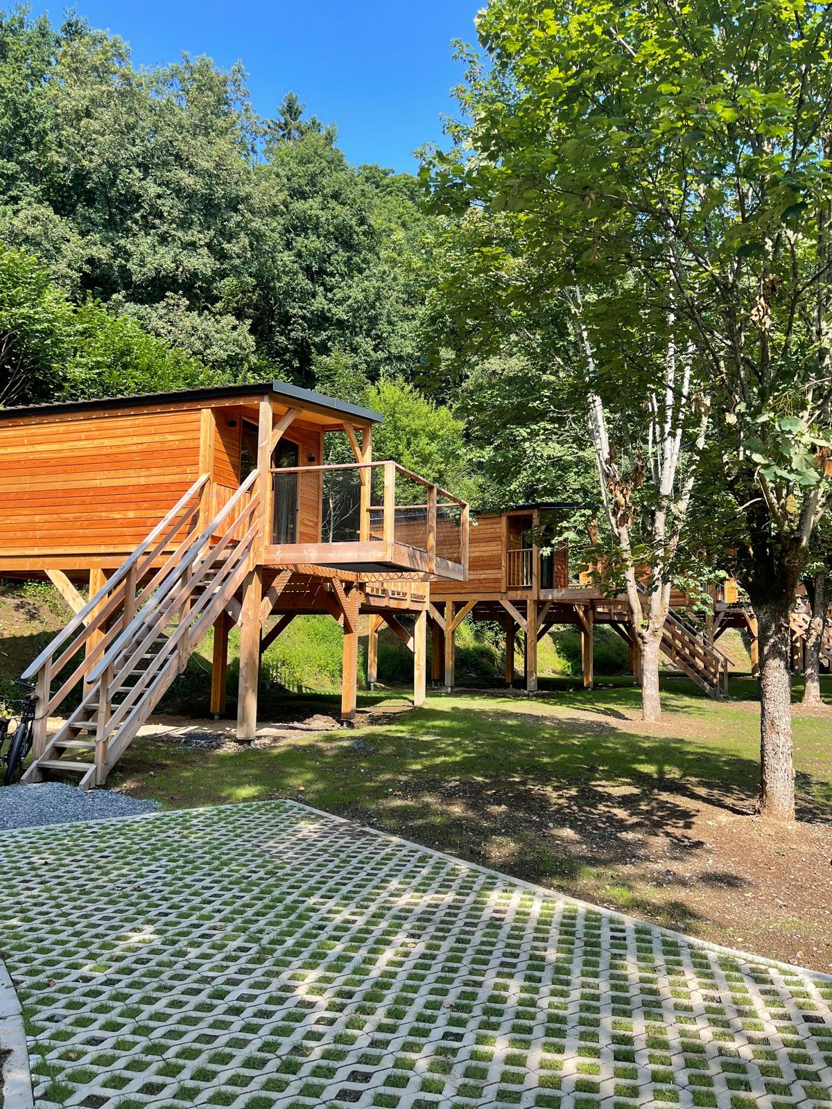 «Tree House»