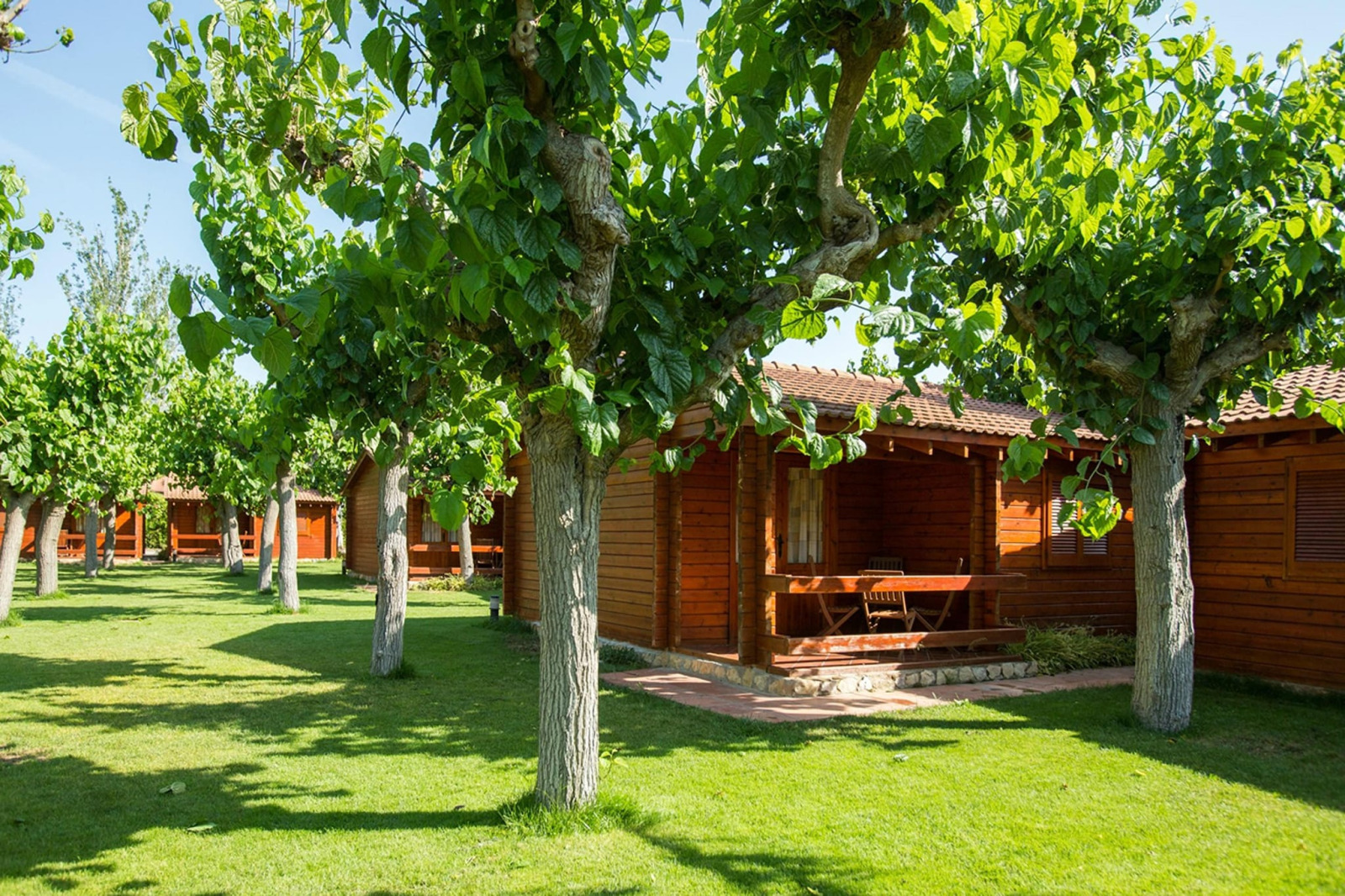 «La Llosa Mestral- Bungalows-G»