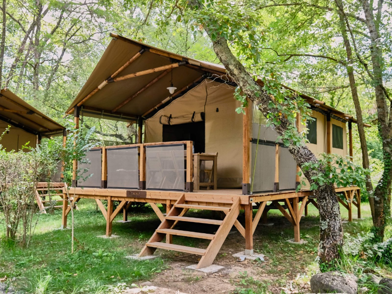 Lodge Premium