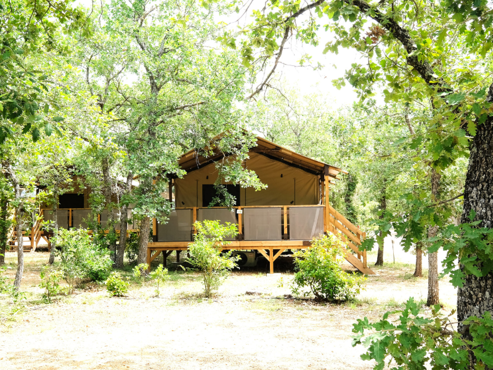 Lodge Premium cover