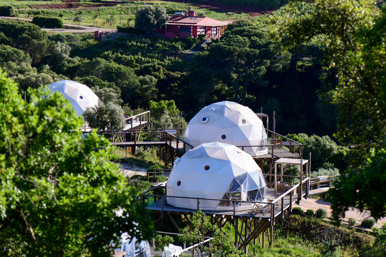«Couple Domes» cover