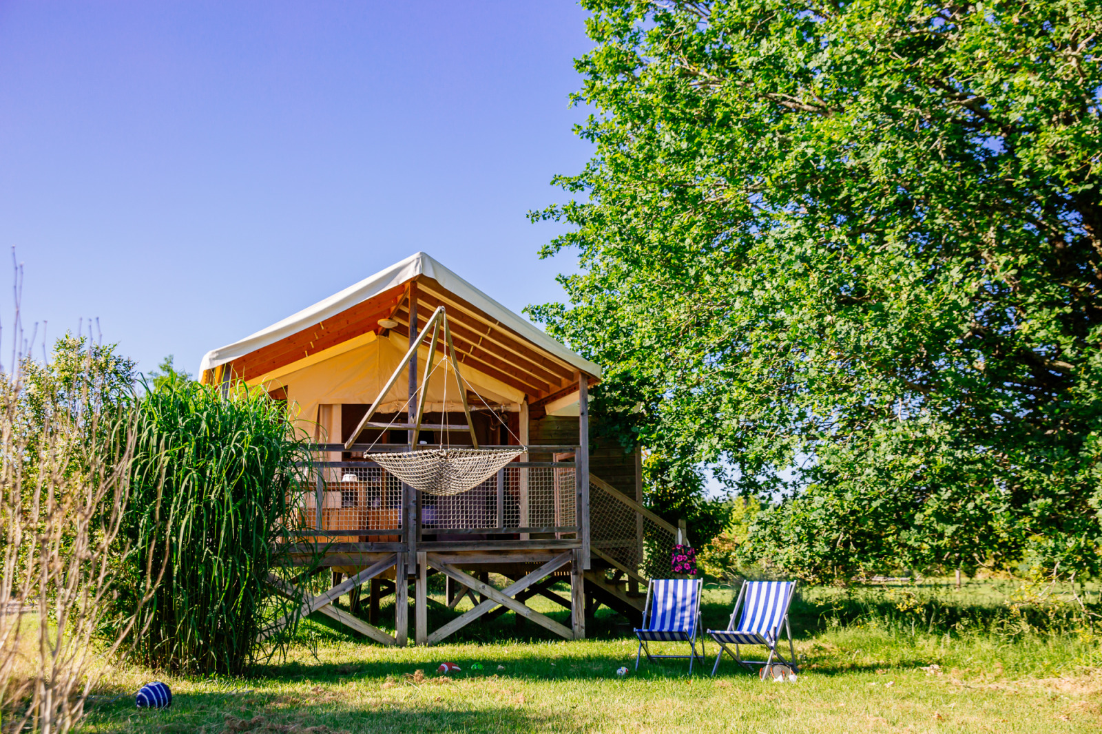 Tent «safari»
