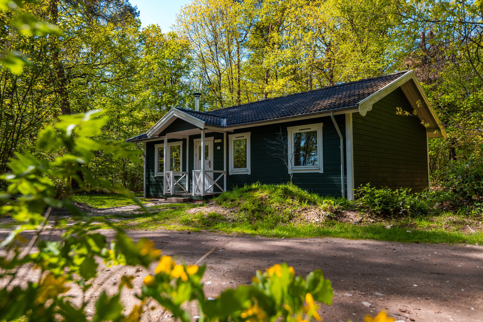 Fins Chalet cover