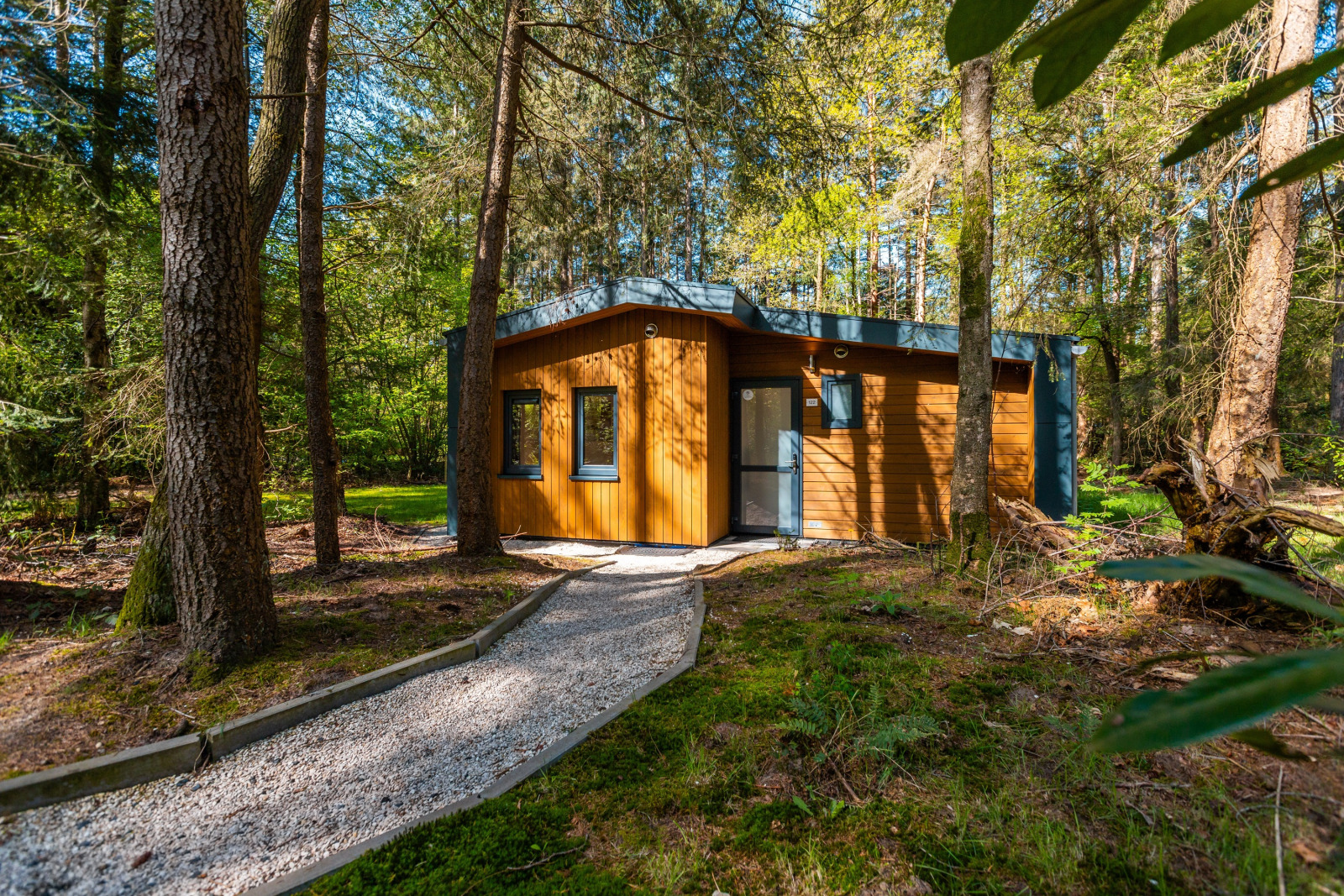 «Zandborg Lodge» cover