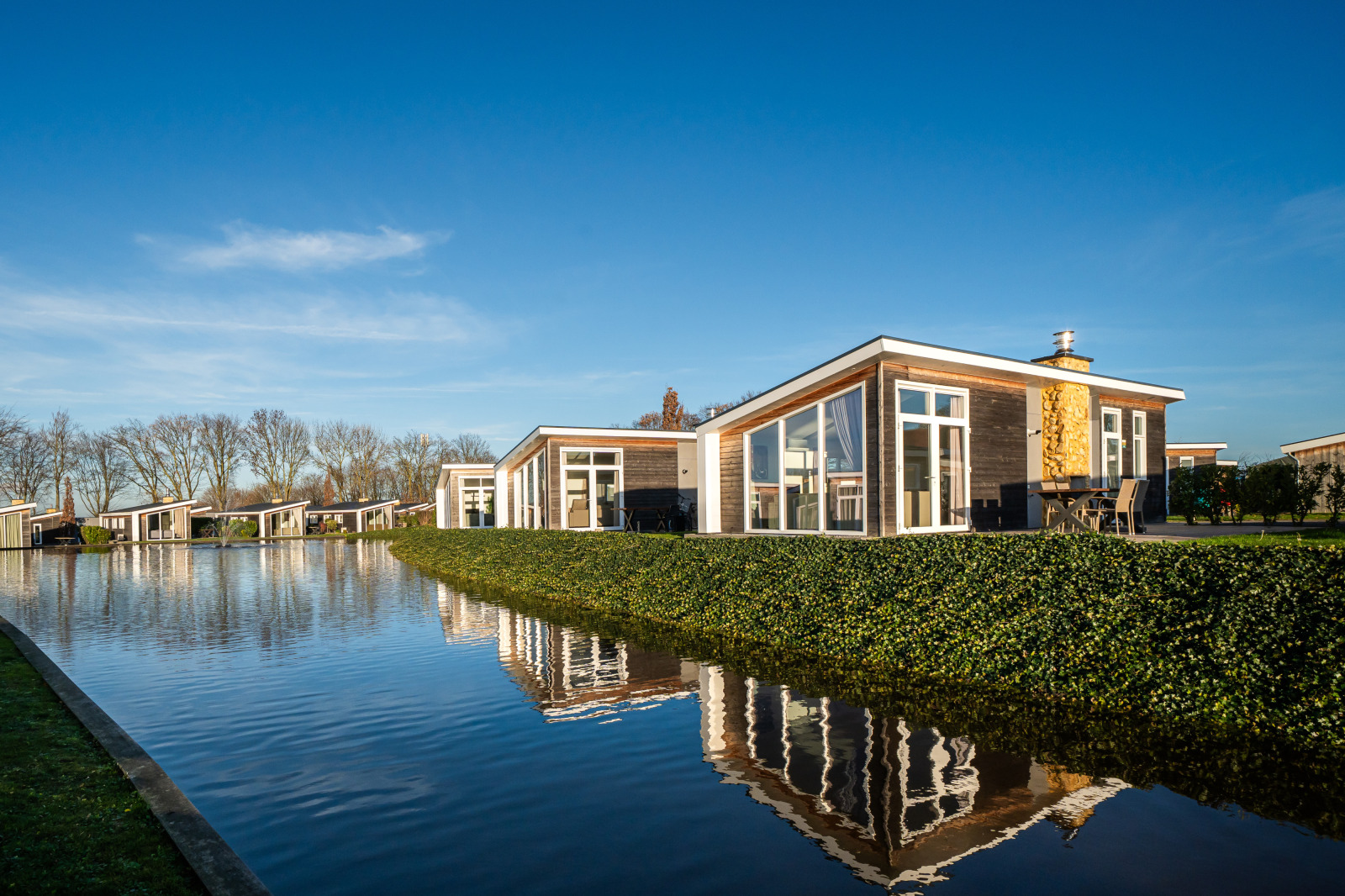 «Biesbosch»