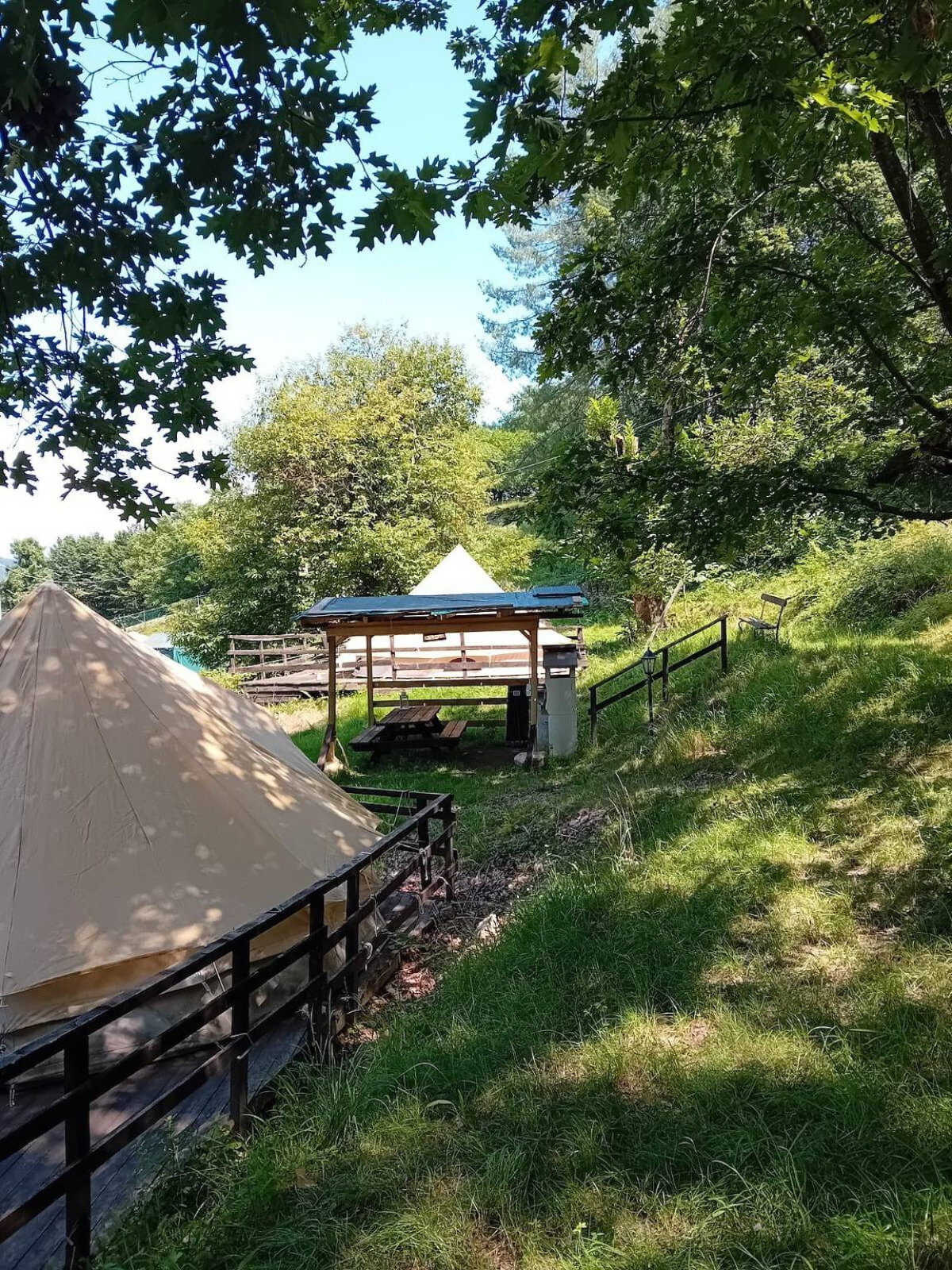 «C Selva Tenda Quercia» cover