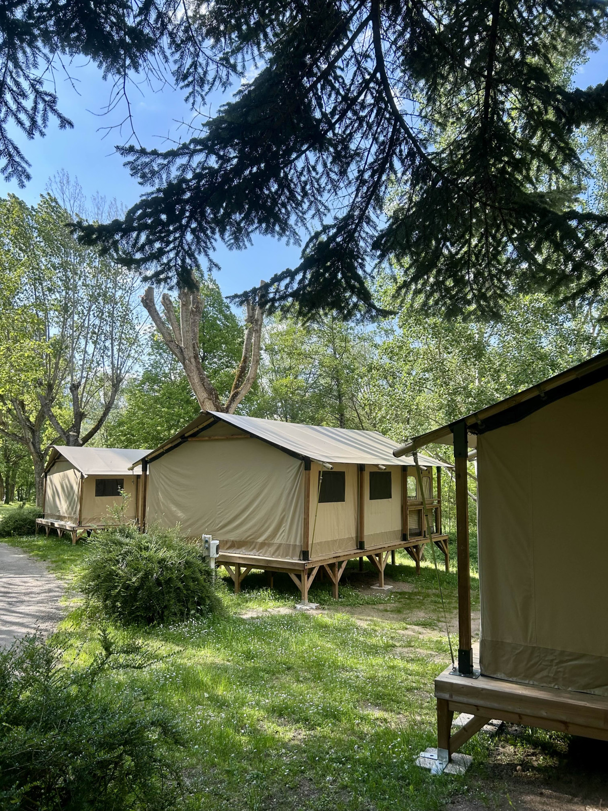 Lodge Kenya cover