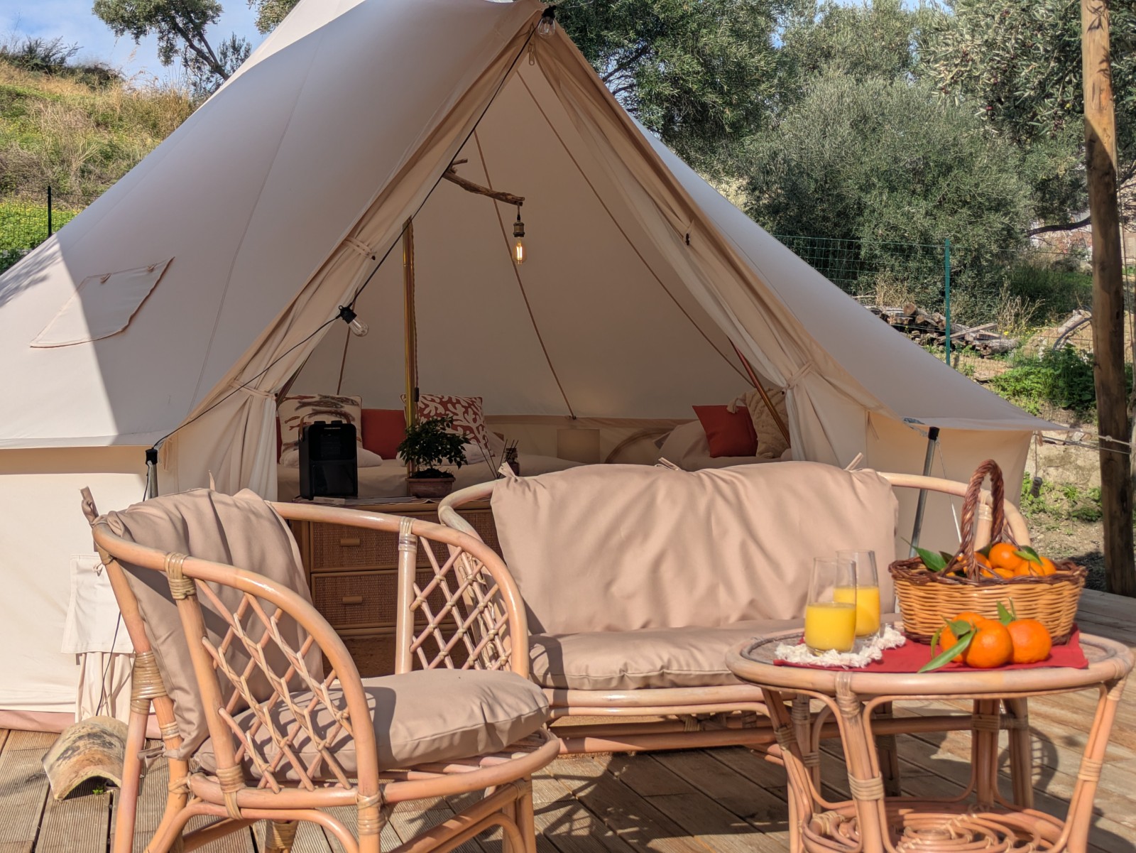 «Eco-Suite»